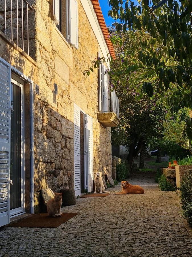 Casa Do Meio Em Quinta De Sao Pedro De Vir-A-Corca Monsanto Exterior photo